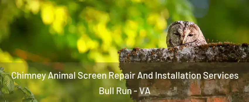  Chimney Animal Screen Repair And Installation Services Bull Run - VA