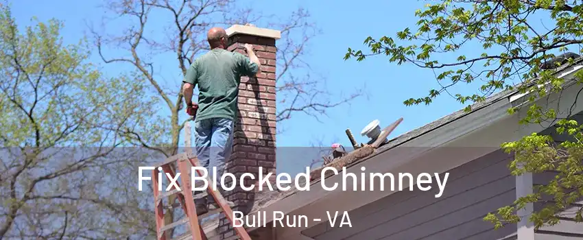  Fix Blocked Chimney Bull Run - VA
