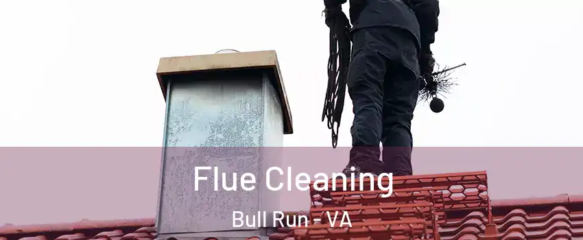  Flue Cleaning Bull Run - VA