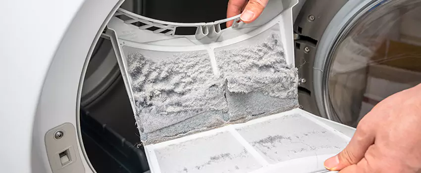 Best Dryer Lint Removal Company in Bull Run, Virginia
