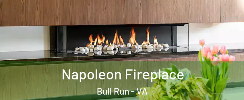  Napoleon Fireplace Bull Run - VA
