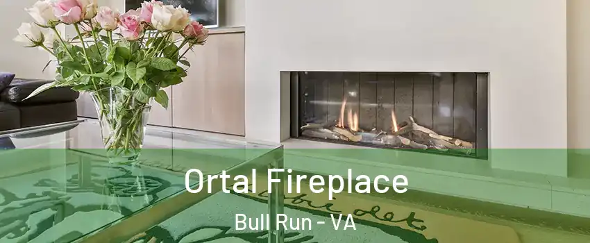 Ortal Fireplace Bull Run - VA